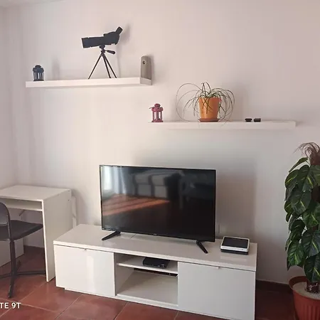 Tropical Paradise Apartment